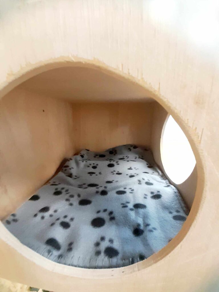 abri conçu pour offrir un espace confortable pour un chat.